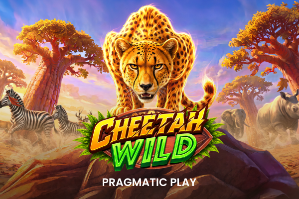 Cheetah Wild